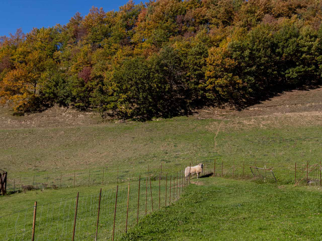media.Gallery-Fattoria-01-Agristurismo-La-Caputa