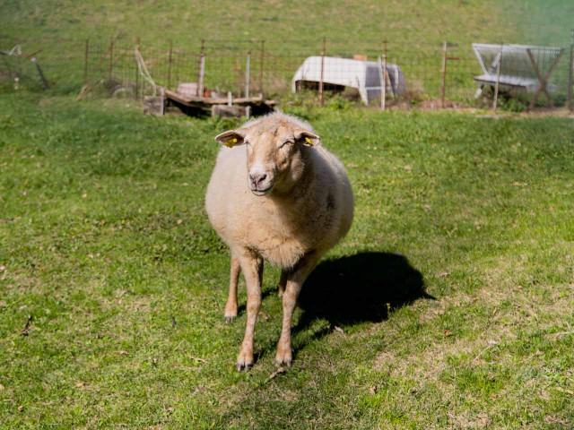 media.Gallery-Fattoria-02-Agristurismo-La-Caputa