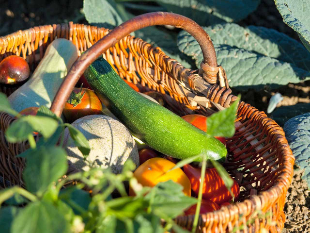 media.Gallery-Fattoria-04-Agristurismo-La-Caputa