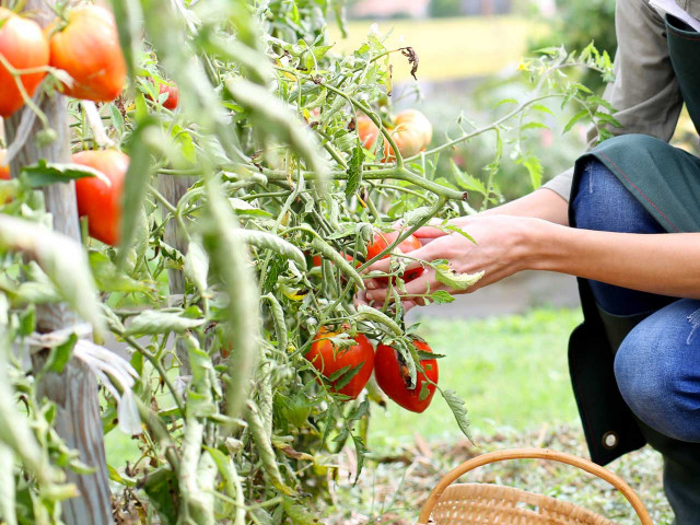 media.Gallery-Fattoria-05-Agristurismo-La-Caputa