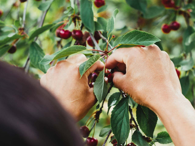 media.Gallery-Fattoria-06-Agristurismo-La-Caputa