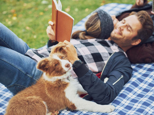 media.Gallery-Pet-Friendly-01-Agriturismo-La-Caputa