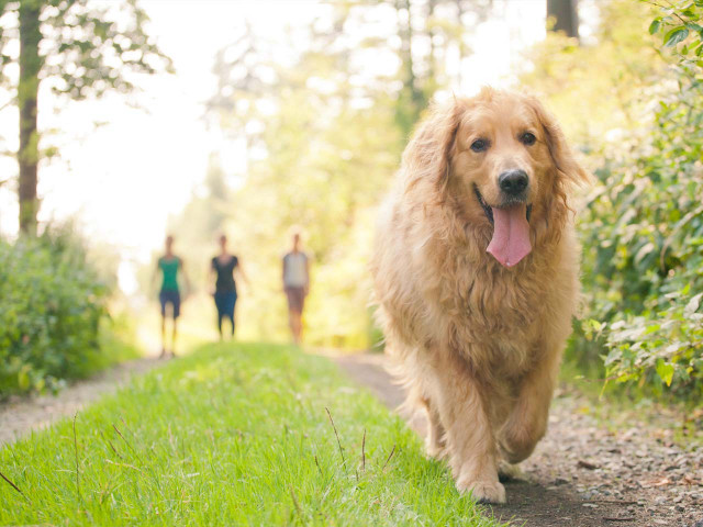 media.Gallery-Pet-Friendly-02-Agriturismo-La-Caputa