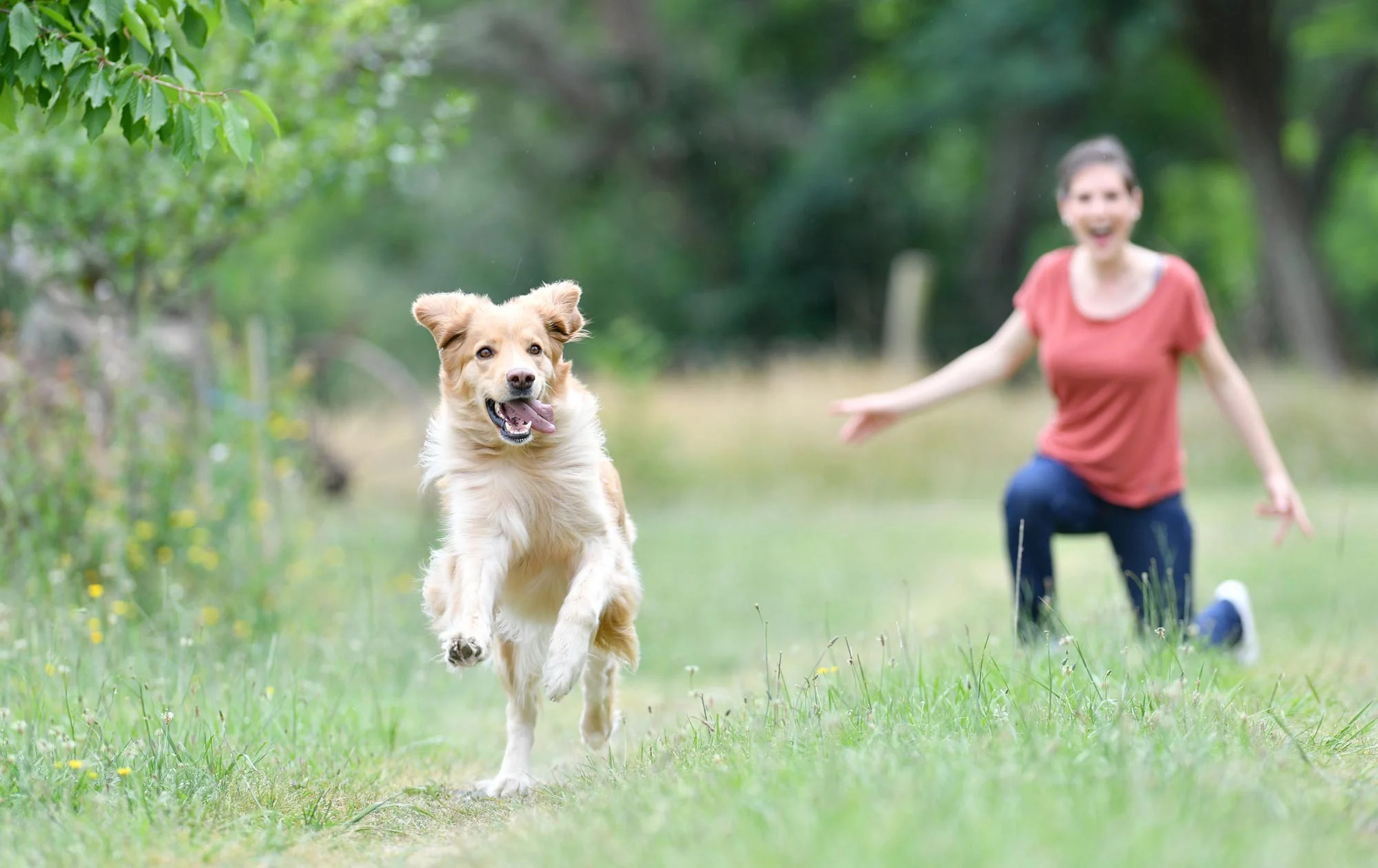 media.Slide-Pet-Friendly-01-Agriturismo-La-Caputa